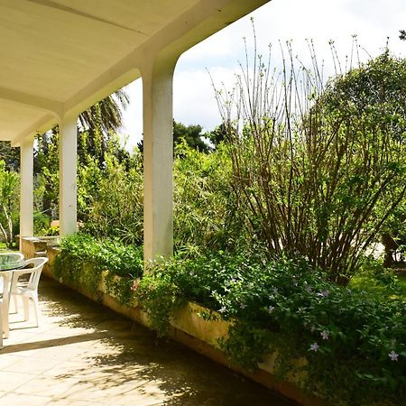 La Cecia - Casa Vacanze Nella Campagna Salentina Cavallino di Lecce Exteriér fotografie